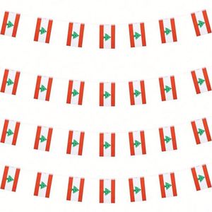 Outdoors Lebanon Flags <b>Small</b> Mini Pennant String Banner Festival Decorations 62.3 Feet 30 Flags Aluminum Flagpoles Polyester - Product Image 1
