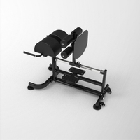Machine GHD professionnelle pour salle de sport, Glute Ham Developer, chaise romaine réglable pour l'hyperextension, pour l'entraînement du dos et des fessiers