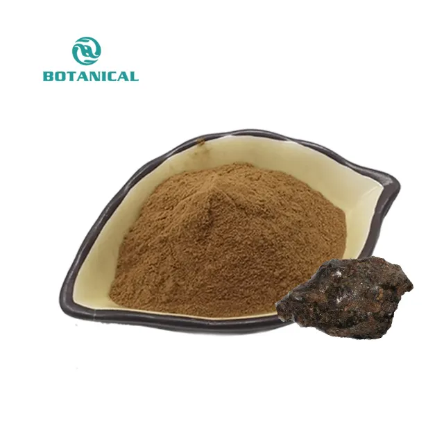 B.c. I pasokan pabrik bubuk Shilajit ekstrak Shilajit 10% 20% 50% asam Fulvic