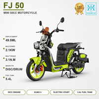 Scooter à essence 50CC, cyclomoteur, moto, 2,1 kW, Euro 5, EFI, 45 km/h, CVT, démarrage électrique, frein à disque avant, utilitaire FJ50