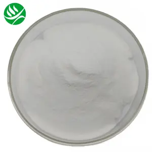 High Quality Radix Sophorae Flavescentis Extract Sophora Flavescens Root Extract Powder 10% - 98% Matrine