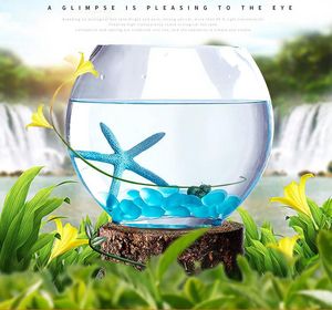 크리 에이 티브 평면 유리 물고기 탱크 데스크탑 타원형 투명 유리 금붕어 탱크 미니 수족관 장식 Fishbowl 액세서리 - Product Image 4