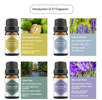 42 saveurs différentes, 10 ml, pierres d'aromathérapie hydrosolubles pour humidificateur, diffuseur, plantes fraîches, air intérieur, voiture, huiles essentielles