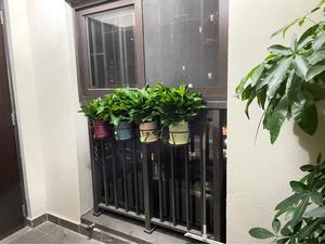 Pot de <span class=keywords><strong>fleur</strong></span> en céramique coloré de style rustique enduit ensemble de jardinière de jardinage géant beauté utilisation intérieure et extérieure - Product Image 6