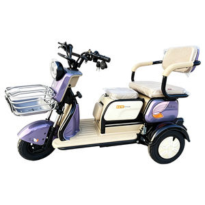 Fabricant chinois fournit des voitures électriques à trois roues les plus vendues pour les particuliers - Product Image 1