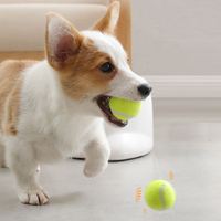 Lanceur de balles de tennis électrique interactif pour chiens, machine automatique de lancer de balles pour petits animaux, jouet d'entraînement intellectuel moderne en plastique