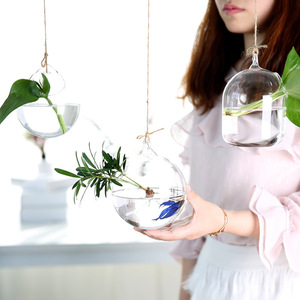 Dropshiping Glass Large Hanging Planters Water Air Plant <b>Succulent</b> Containers Terrarium Kits 2 Holes With Strings Rope for Home - Product Image 3