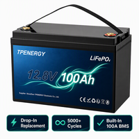 Batería de Ciclo Profundo TPENERGY 12V 100Ah LFP con BMS Integrado de 100A, Reemplaza AGM GEL, Libre de Mantenimiento