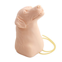 Gelsonlab HSBM-535 modèle de prélèvement sanguin et de perfusion de veine jugulaire canine