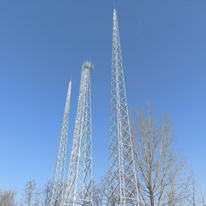 ライトニングタワー通信保護<span class=keywords><strong>Arrester</strong></span>構造通信用ライトニングプロテクション - Product Image 5