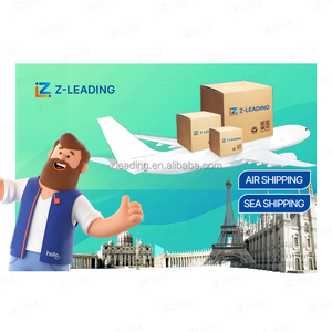 Europe Porte-à-Porte Express Logistique 3PL Fast Germany Freight Shipping International Trucking + Express Agent - Product Image 5