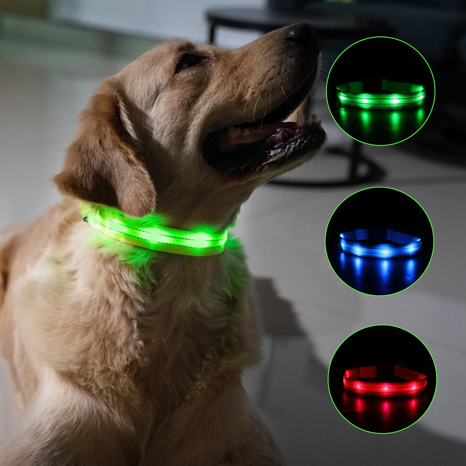 Collar de seguridad nocturna para perro, resistente al agua, recargable por USB, Led intermitente, de nailon