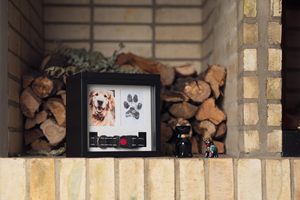 JQ <span class=keywords><strong>Urna</strong></span> Conmemorativa de Madera Tallada con Árbol de la Vida para Cenizas de Mascotas, Urnas de Cremación para Mascotas al por Mayor - Product Image 6