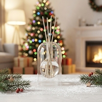 Bouteille diffuseur d'arômes en verre vide de 100 ml, sans plomb, résistante à la chaleur, décorative de luxe, récipient de parfum, vente en gros