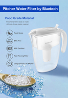 Carafe filtrante à eau certifiée ROHS de 2,4 L, en ABS de qualité alimentaire, purificateur portable pour la maison et les voyages