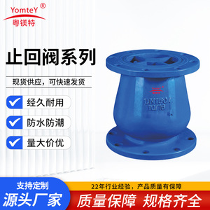 Yomtey Check Valve Series 50mm NRVR Silent Type For Water Stop Use National Standard OEM Customization - Product Image 5