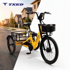 Triciclo Eléctrico de Carga TXED App Comercial Inteligente para Reparto de Comida <span class=keywords><strong>y</strong></span> Logística, Motor de 36V 250W, Batería de 13AH, Tres Ruedas - Product Image 1
