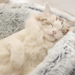 Lit pour chat et chien confortable et écologique, semi-fermé, pour l'intérieur, en peluche imprimée, amovible, lavable, portable, pour l'hiver - Product Image 4