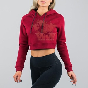 Wears World Nouvelle Arrivée 2022 Hiver Top court à une épaule en dentelle noire transparente en maille, style sweat à capuche sexy pour femme 100% Polyester - Product Image 2