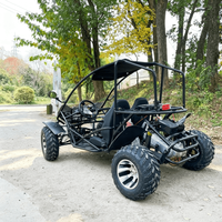 Buggy tout-terrain électrique 200cc à moteur essence LNA pour adultes – Idéal pour les excursions en forêt tropicale