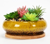 Grandes jardinières en céramique pour plantes succulentes, pot à bonsaï avec plateaux, jardinières réactives peu profondes rondes de 7,3 pouces pour plantes d'intérieur, cactus, fleurs