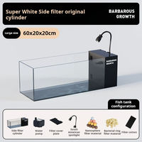 Aquarium de bureau rectangulaire en verre transparent ultra-blanc de style moderne de haute qualité et durable 220V Écologique Énergétique