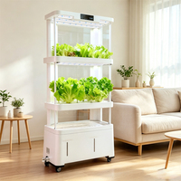 Armoire de culture hydroponique intelligente multi-niveaux Seeda pour la maison, taille personnalisée, système de cycle d'eau automatisé, facile à utiliser pour