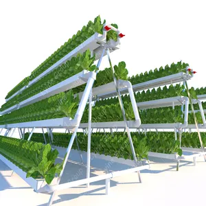 PVC Channel Greenhouse Hydroponics NFT System Vertical Hydroponic Growing Systems Growing Industrial type