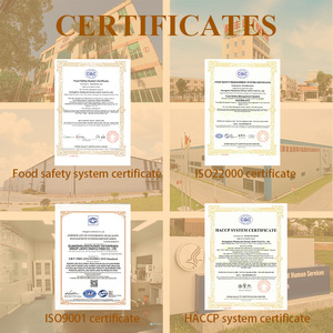 Guangzhou ristorante Hotel colazione pane Snack Cantonese tè del mattino Dim Sum vegetariano congelato alla brace Cha Siu Bao bambini - Product Image 4