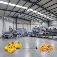 Productielijn voor bananenchips 100kg, aanpasbare machine voor plantainchips, schillen, snijden, frituren, kruiden, verwerking.