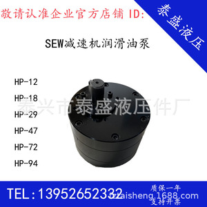 Bomba de engranajes Hp Hp-12 Hp-18 Hp-29 Hp-47 para caja de engranajes, bomba de aceite lubricante, energía eléctrica, fabricada en China - Product Image 4