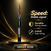 Cable de Fibra Óptica Blindado para Exteriores GYTS de 48 Núcleos, Monomodo G.652D, Certificación CE/ROHS/ISO9001 para FTTx/Acceso a Datos