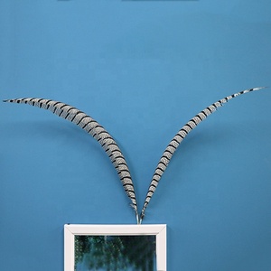 80-90Cm Bán Buôn Chất Lượng Cao Bán Hot Carnival Phụ Nữ Tự Nhiên Amherst Gà Lôi Side Tail Lông - Product Image 5