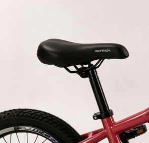 <span class=keywords><strong>Bicicleta</strong></span> de Montaña para Niños con Soldadura de Argón, Pintura Láser, Eje de Pedalier Sellado, Amortiguador, Llantas de Doble Pared y Radios Coloridos - Venta Directa de Fábrica - Product Image 5