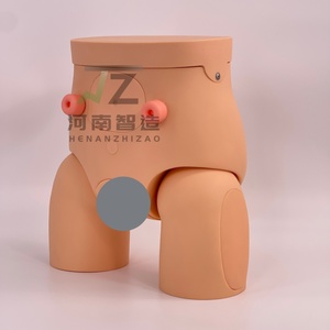 Nuevo Modelo de Cateterismo Masculino y Femenino, Modelo de Enseñanza y Entrenamiento Médico - Product Image 1