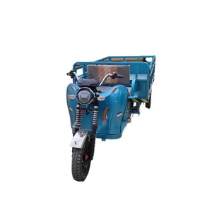 Mới nhất nóng bán nông nghiệp Giao thông vận tải phổ 200kg Trike điện ba bánh cho nam giới sử dụng