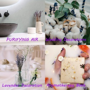 G178 Vente en gros de fleurs de lavande séchées, naturelles et éternelles pour la décoration de salle de bain et la décoration de la maison - Product Image 3