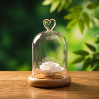 Diffuseur d'huiles essentielles parfumées en verre avec base en bois, inhalateur de fleurs, testeur, pour expositions, avec pompe à marquage à chaud