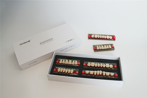 <span class=keywords><strong>Prix</strong></span> d'usine OEM, dents <span class=keywords><strong>en</strong></span> résine manuelle, prothèse dentaire <span class=keywords><strong>en</strong></span> acrylique, certifiée CE, garantie de plus de 5 ans - Product Image 6