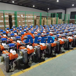 Eccellente Trasportatore Autopropulso per Vigneti di Alta Qualità, Macchina Monorotaia per Pendenze Ripide, Molto Richiesta e Durevole - Product Image 6