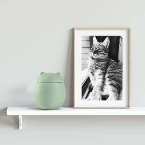 Urne pour cendres de chat avec logo personnalisé gravé, souvenir de crémation pour animaux de compagnie, cadeau de sympathie - Product Image 4