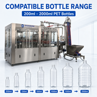 3-in-1 complete fruitsap productielijn, mango sap vulmachine voor PET flessen
