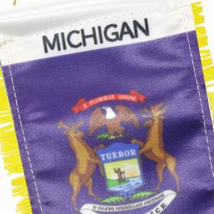 Bandera Personalizada de Satén del Estado de Michigan, Impresión Digital, Mini Bandera para Auto, Borlas Amarillas, Hecha de Poliéster y Plástico, para Uso Automotriz - Product Image 5