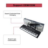 BD MUSIC BD-663 Portable Electronic Keyboard Digital Piano Electric Organ 61 Keys Beginners 200 Tones for Educational Use