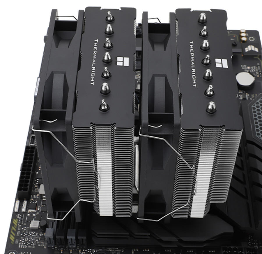 【取置き】多肉植物 硫黄団扇　狂刺シリーズ 取置き】多肉植物 硫黄団扇 狂刺シリーズ 取置き】多肉植物 硫黄団扇 狂