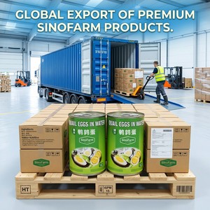 Uova di Quaglia in Salamoia in Scatola Marca SinoFarm, Etichetta Privata, 425g 850g 3kg, Vendita all'Ingrosso, Esportatore - Product Image 1