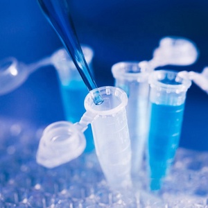 Tubo de Microcentrífuga Transparente de Polipropileno de 0.2mL, 0.5mL, 1.5mL con Tapa a Presión, Tubo de Ensayo para Laboratorio - Product Image 2
