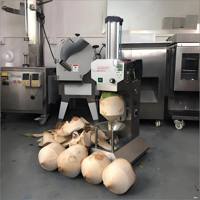 Volautomatische Roestvrijstalen Meloen Fruitschiller Kokosschiller Machine Papaja Ananas Pompoenschilmachine