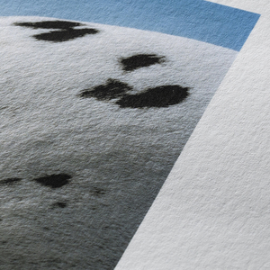 Nghệ thuật Micro phun minh họa cuốn sách kích thước lớn in ảnh độ nét cao đầu ra thu tùy chỉnh hahnemhle - Product Image 6