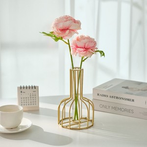 Jarrón de escritorio de hierro nórdico Master Gu, diseño hueco para sala de estar, decoración del hogar, soporte para flores secas 2303E - Product Image 3
